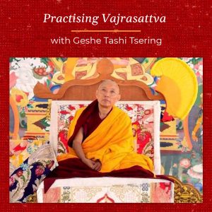 Practising Vajrasattva: Purification & the Four Powers with Q&A Class 8