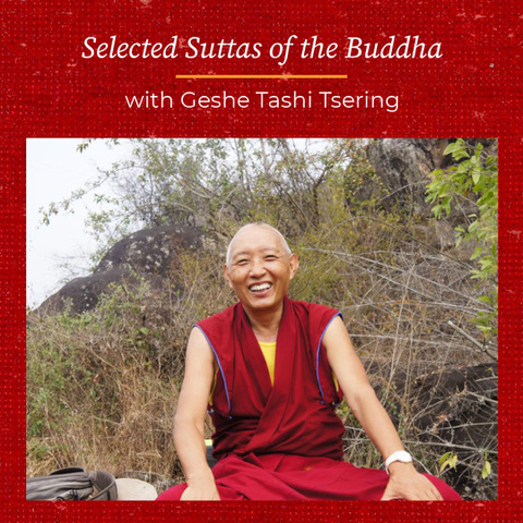 Selected Suttas of the Buddha Class 2
